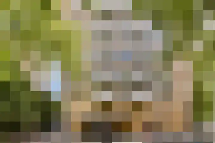 Nachtwachtlaan 262 Amsterdam thumbnail 18
