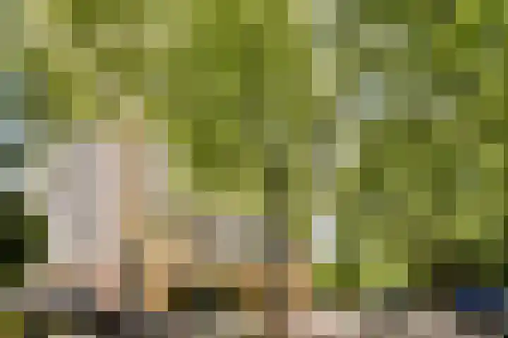 Nachtwachtlaan 262 Amsterdam thumbnail 19