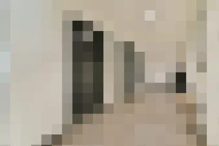 Nachtwachtlaan 262 Amsterdam thumbnail 20