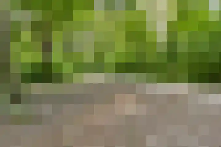 Nachtwachtlaan 262 Amsterdam thumbnail 22