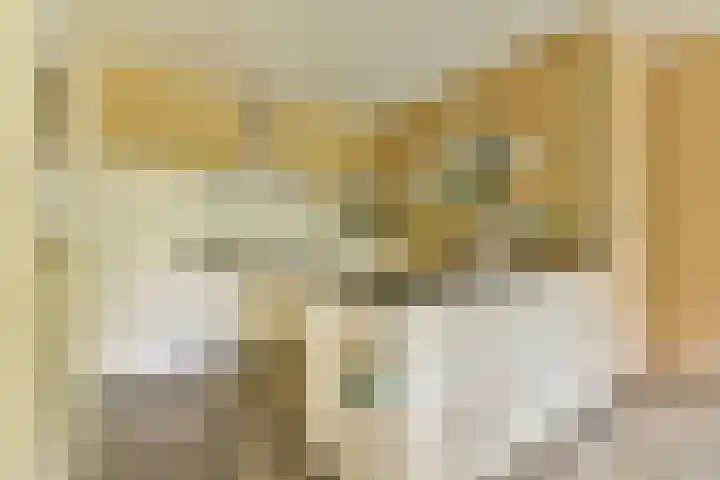 Nachtwachtlaan 262 Amsterdam thumbnail 4
