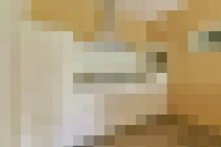 Nachtwachtlaan 262 Amsterdam thumbnail 5