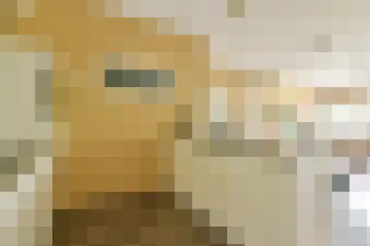 Nachtwachtlaan 262 Amsterdam thumbnail 6