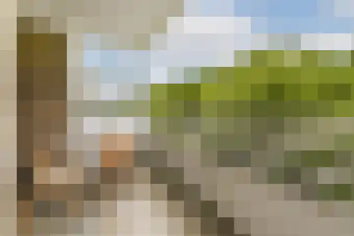 Nachtwachtlaan 262 Amsterdam thumbnail 8