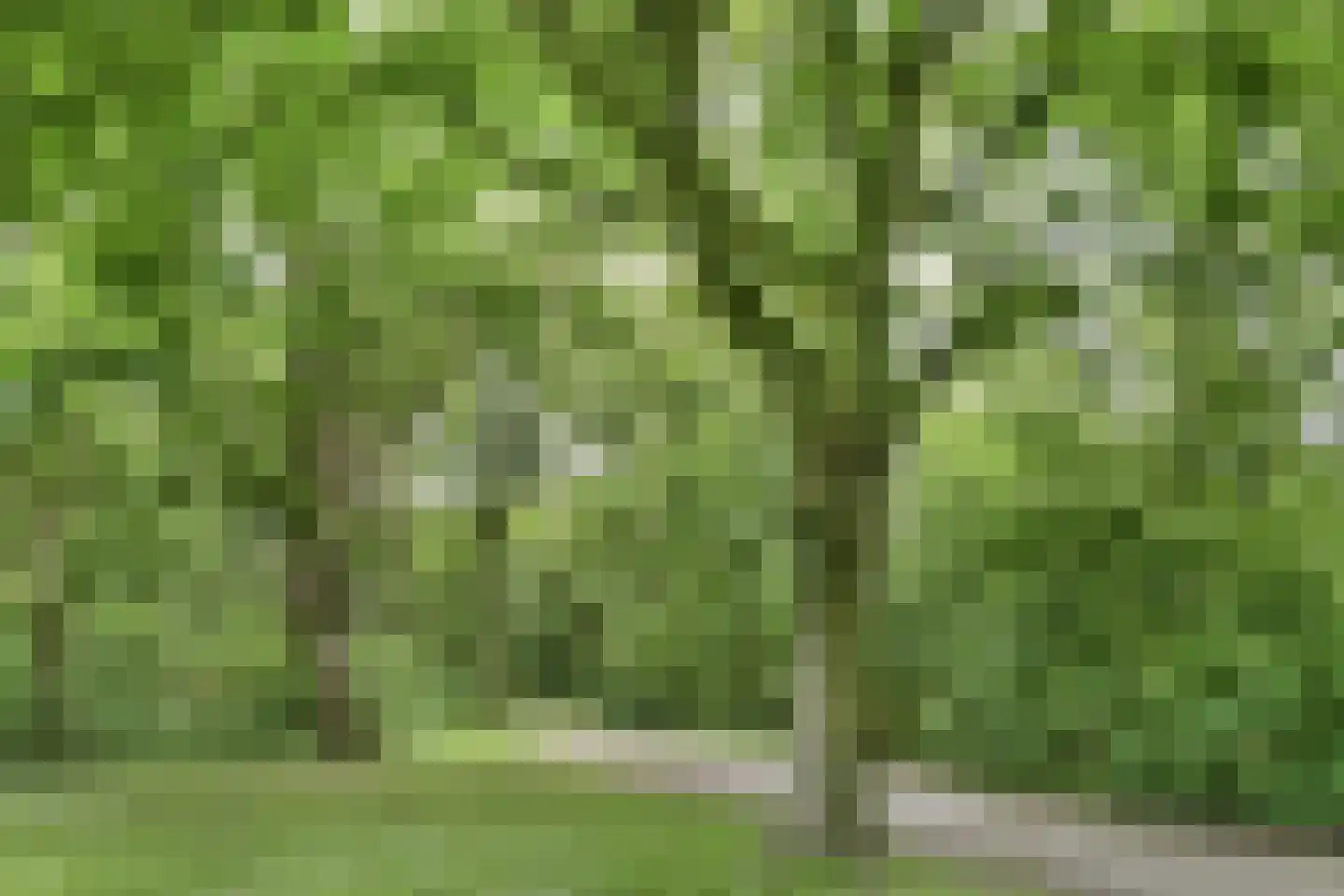 Nachtwachtlaan 272 Amsterdam thumbnail 25