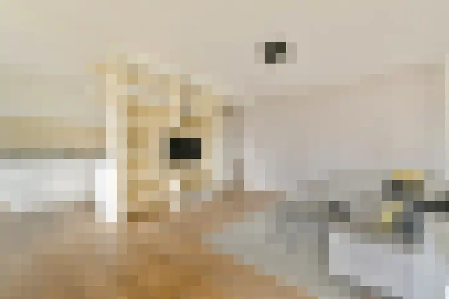 Nachtwachtlaan 272 Amsterdam thumbnail 9