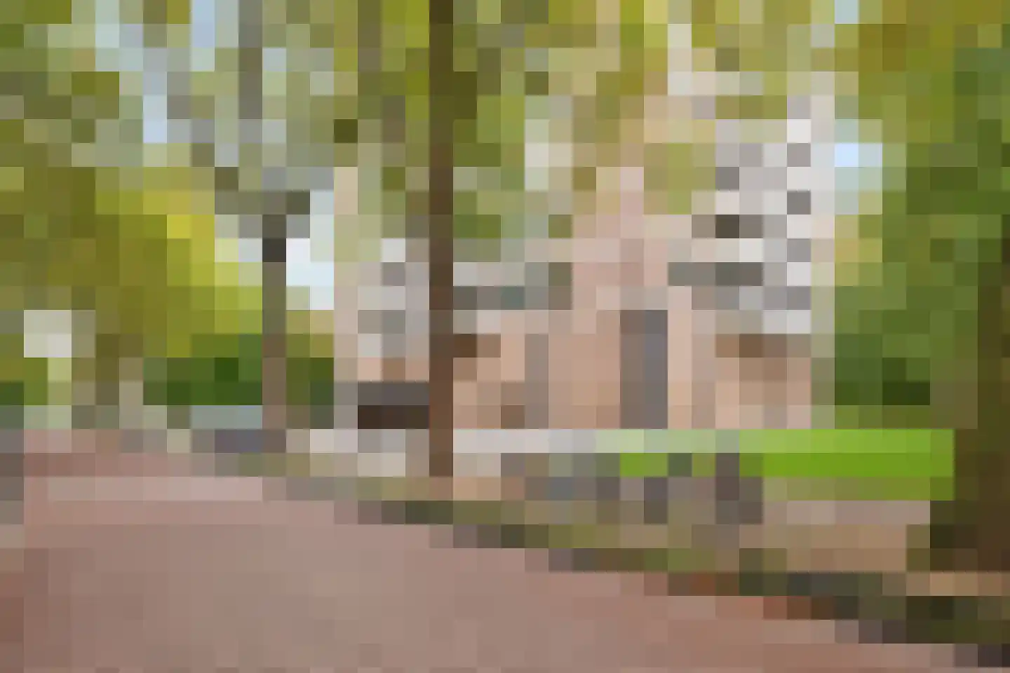 Nachtwachtlaan 280 Amsterdam thumbnail 20