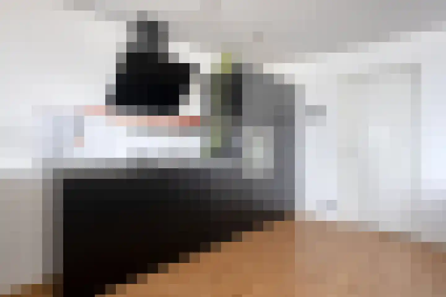 Nachtwachtlaan 290 Amsterdam thumbnail 5