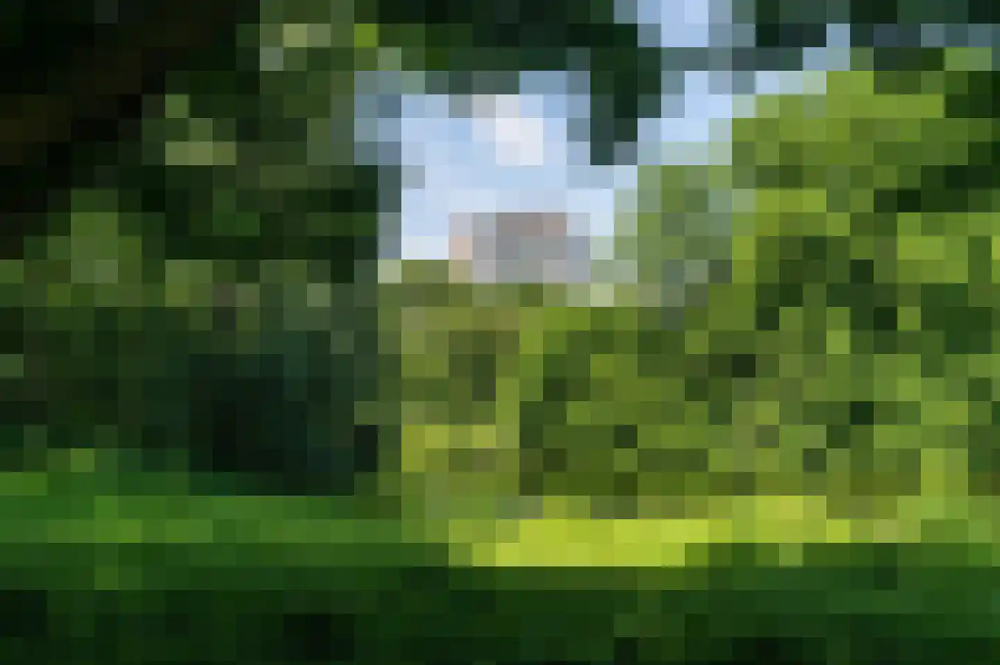 Nachtwachtlaan 304 Amsterdam thumbnail 25