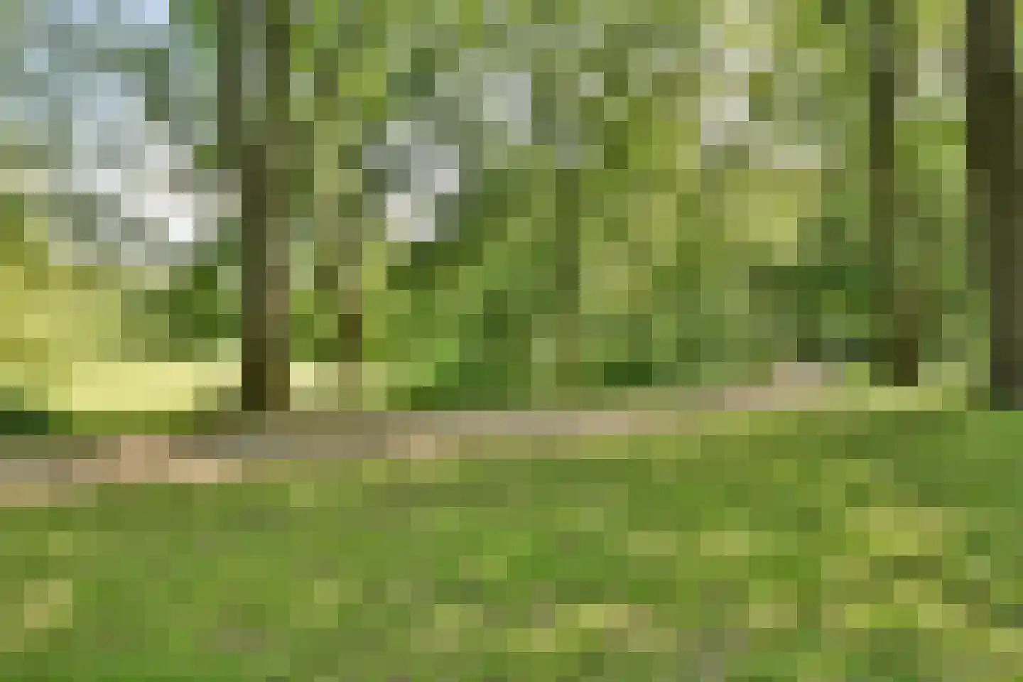 Nachtwachtlaan 304 Amsterdam thumbnail 27