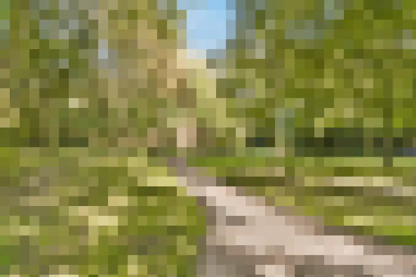 Nachtwachtlaan 308 Amsterdam thumbnail 31