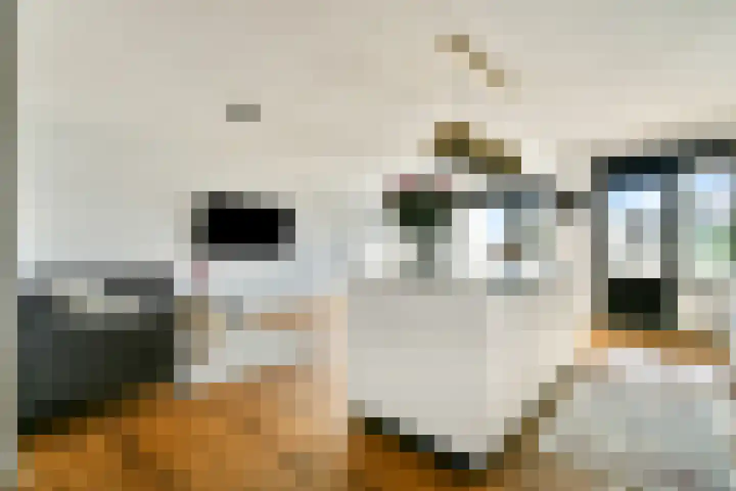 Nachtwachtlaan 308 Amsterdam thumbnail 7