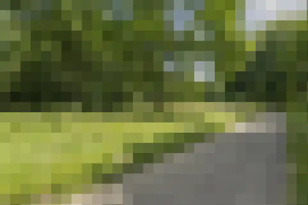 Nachtwachtlaan 323 Amsterdam thumbnail 32
