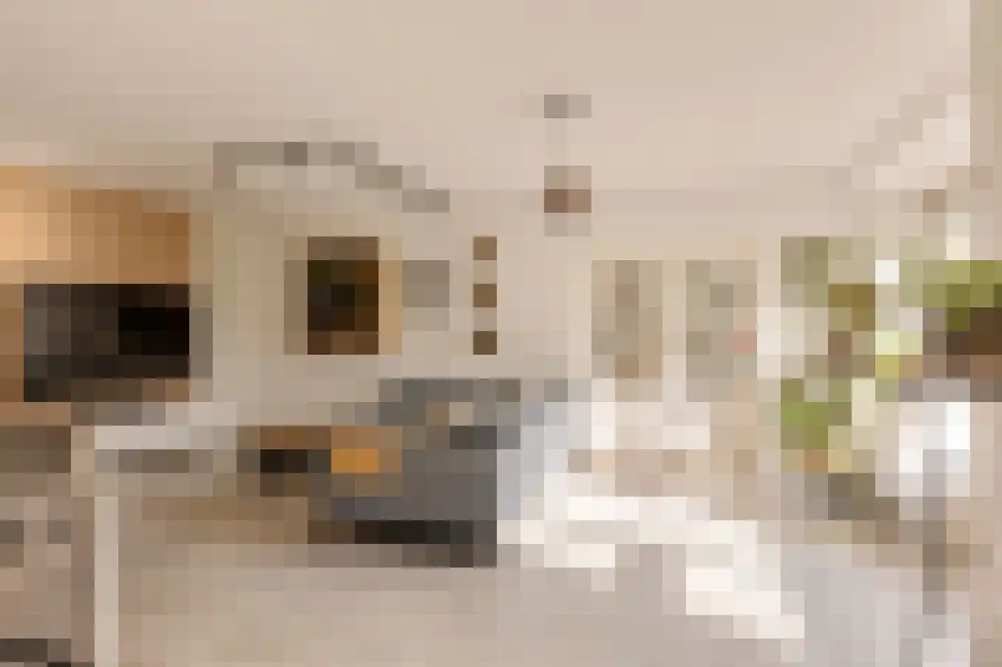 Nachtwachtlaan 332 Amsterdam thumbnail 11