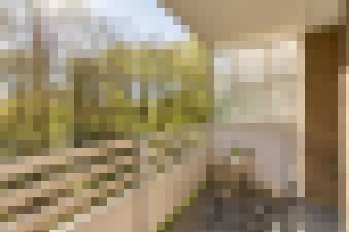 Nachtwachtlaan 332 Amsterdam thumbnail 19