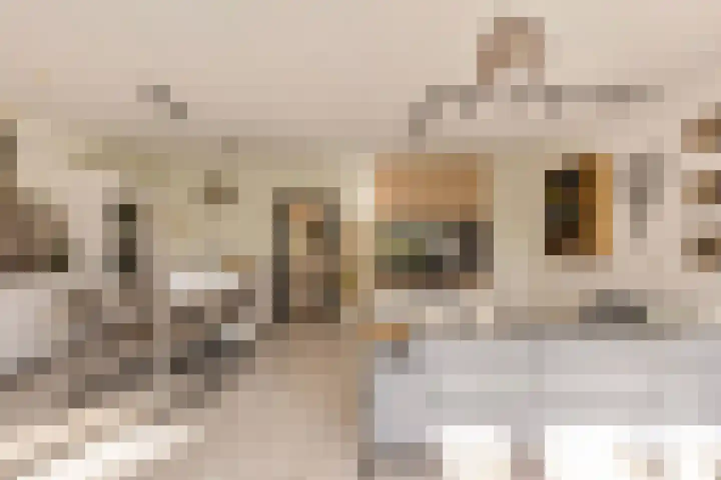 Nachtwachtlaan 332 Amsterdam thumbnail 5