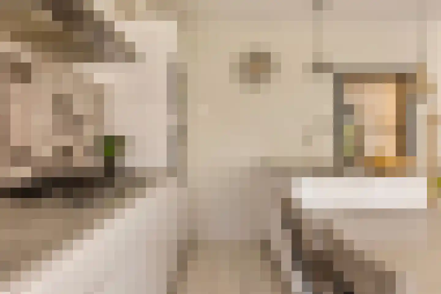 Nachtwachtlaan 332 Amsterdam thumbnail 9