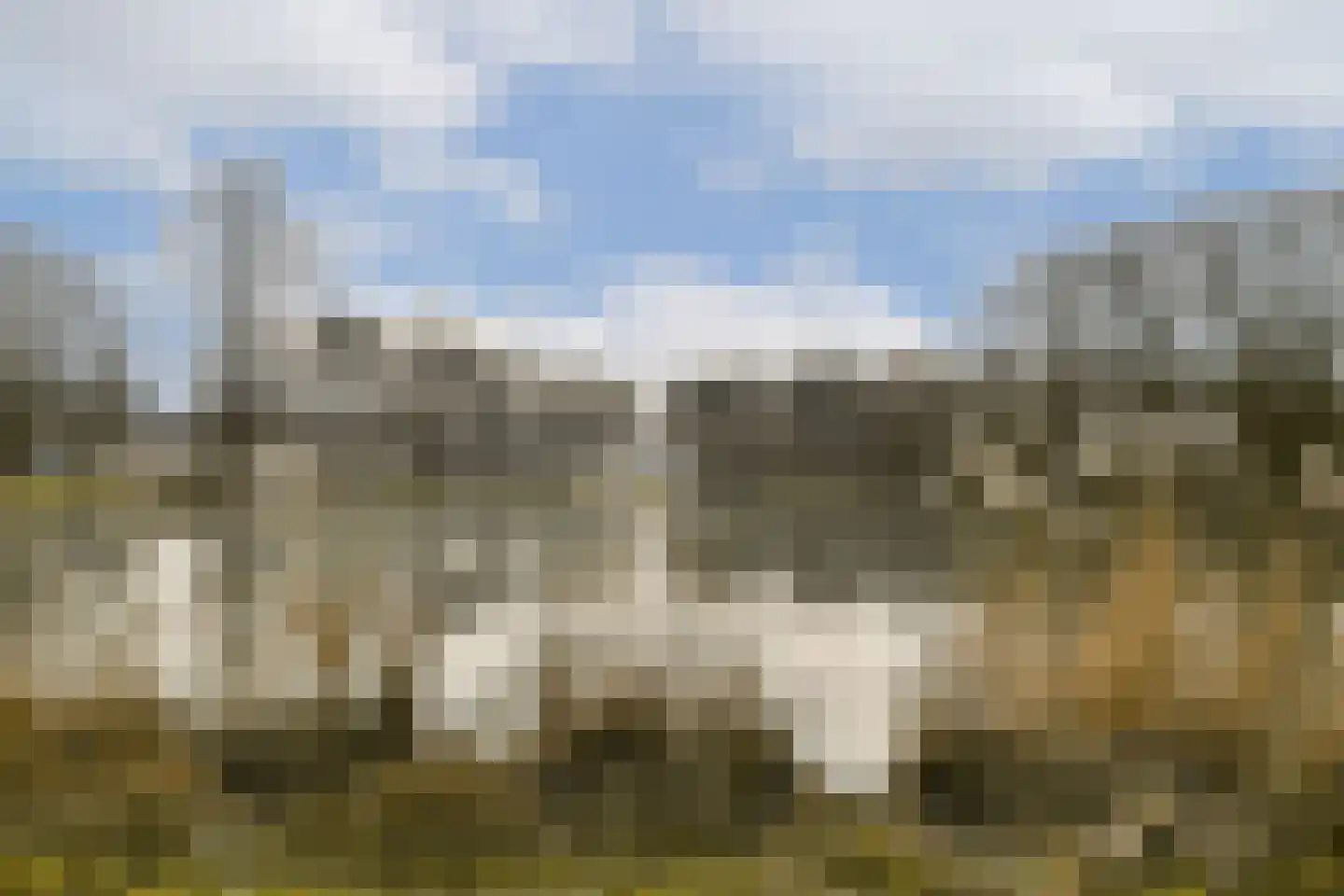 Nachtwachtlaan 333 Amsterdam thumbnail 15