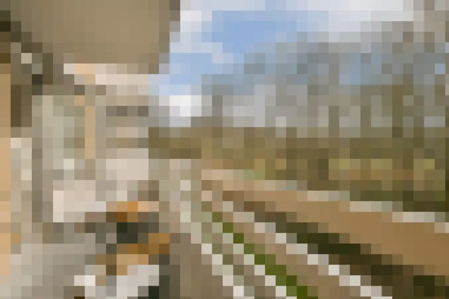 Nachtwachtlaan 333 Amsterdam thumbnail 16
