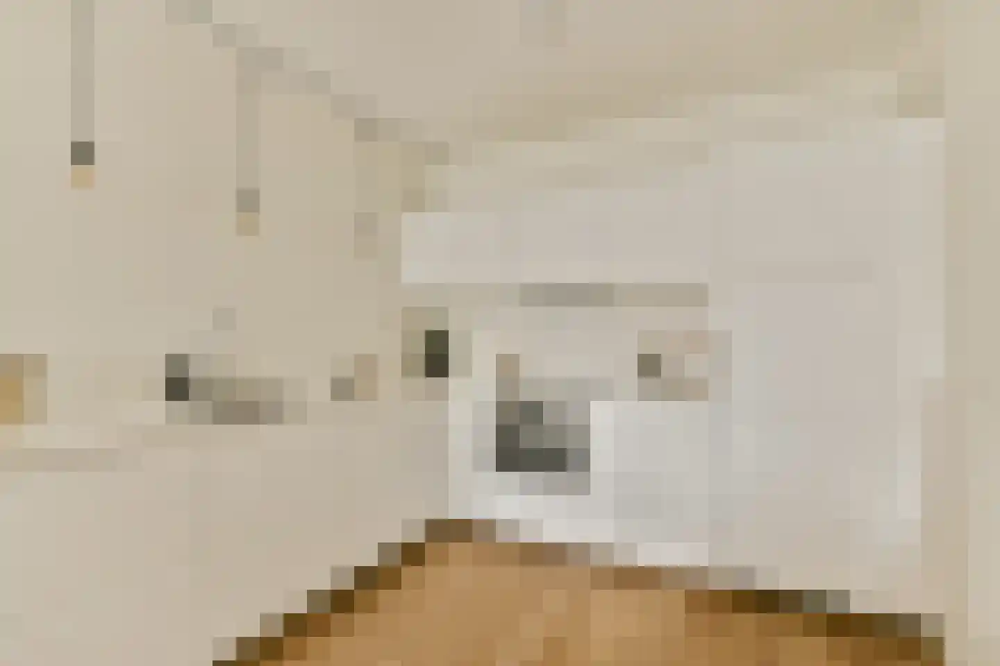 Nachtwachtlaan 333 Amsterdam thumbnail 6