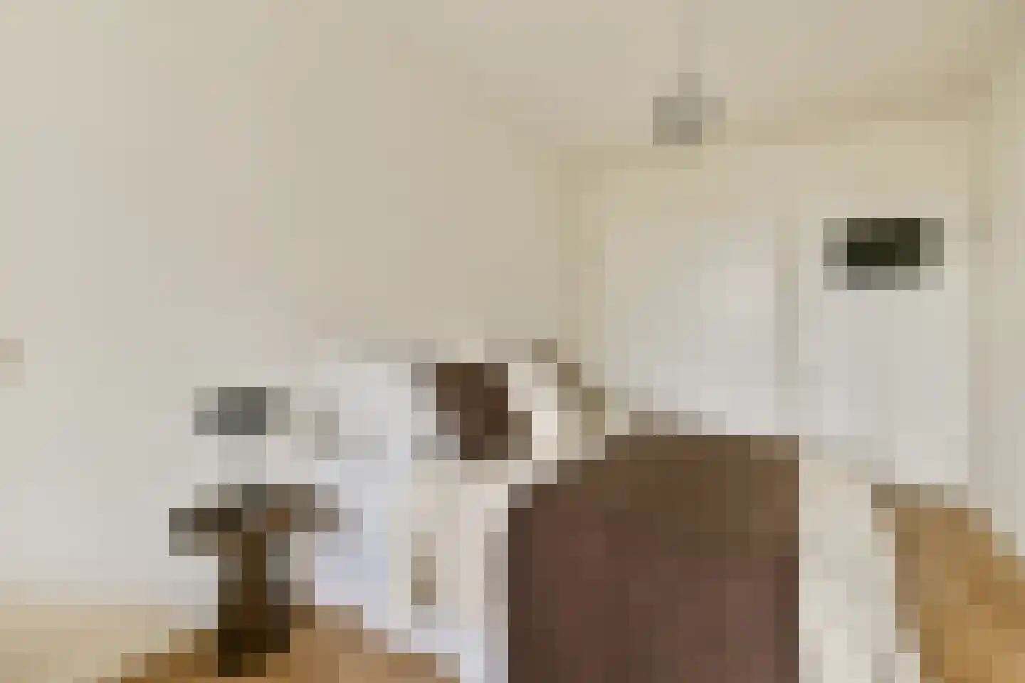 Nachtwachtlaan 333 Amsterdam thumbnail 9
