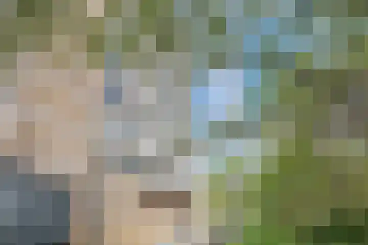 Nachtwachtlaan 357 Amsterdam thumbnail 37