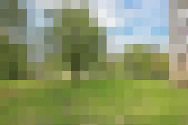Nachtwachtlaan 357 Amsterdam thumbnail 38