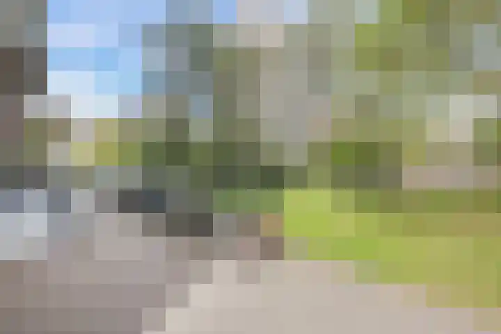 Nachtwachtlaan 357 Amsterdam thumbnail 39