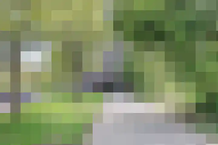 Nachtwachtlaan 357 Amsterdam thumbnail 43