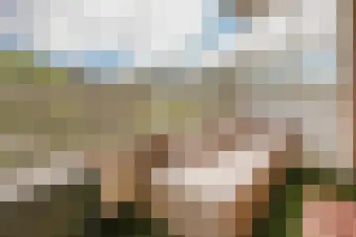 Nachtwachtlaan 357 Amsterdam thumbnail 5