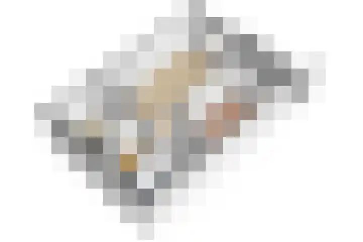 Nachtwachtlaan 357 Amsterdam thumbnail 50