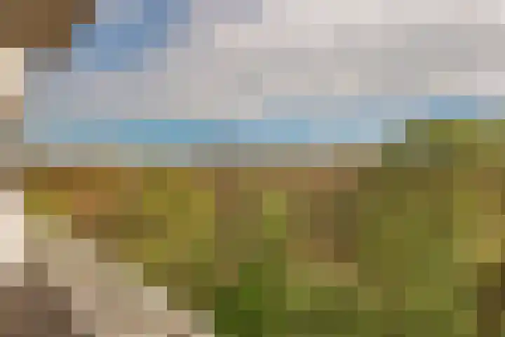 Nachtwachtlaan 357 Amsterdam thumbnail 6