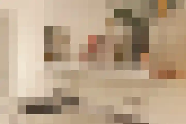 Nachtwachtlaan 358 Amsterdam thumbnail 20