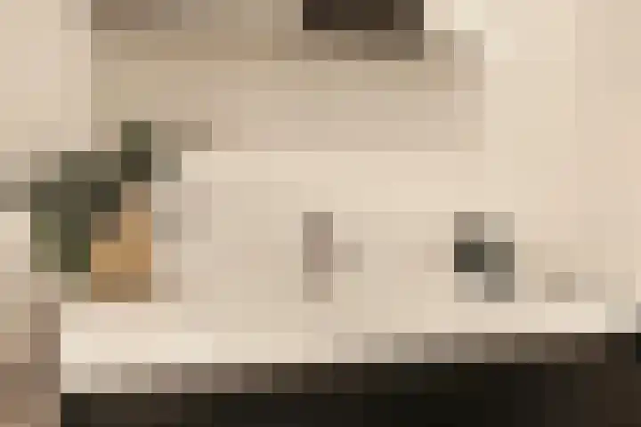 Nachtwachtlaan 358 Amsterdam thumbnail 28