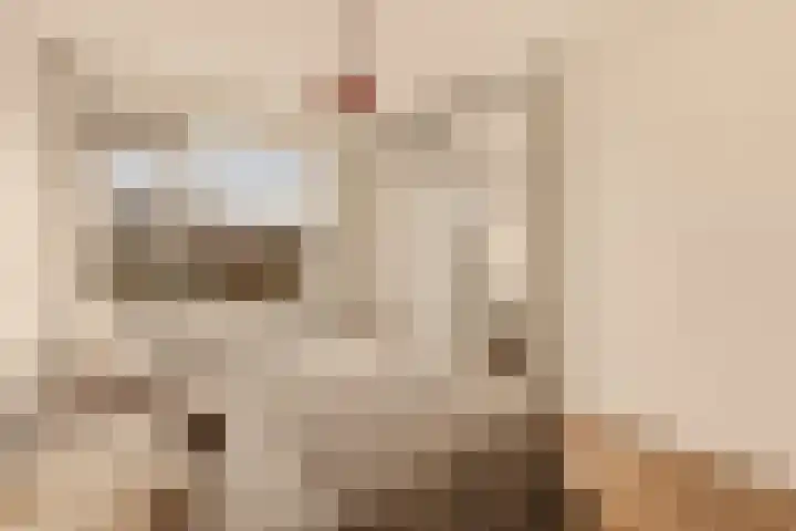 Nachtwachtlaan 358 Amsterdam thumbnail 32
