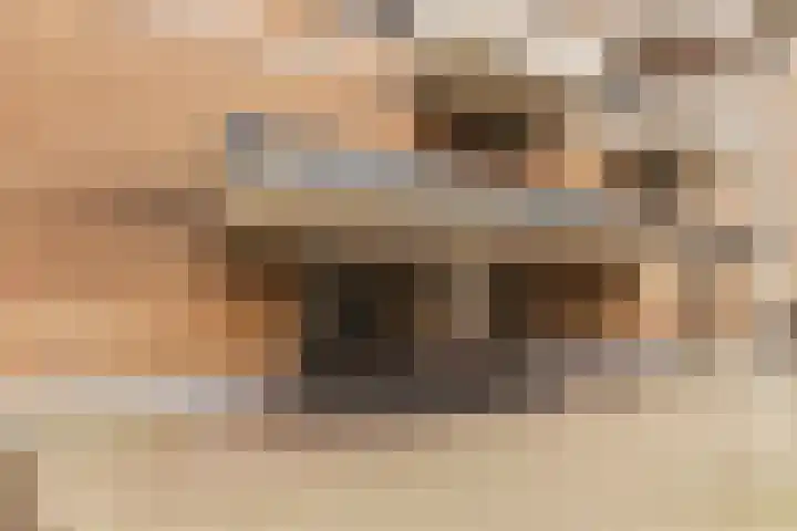 Nachtwachtlaan 358 Amsterdam thumbnail 4