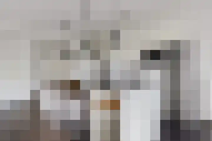 Nachtwachtlaan 361 Amsterdam thumbnail 10
