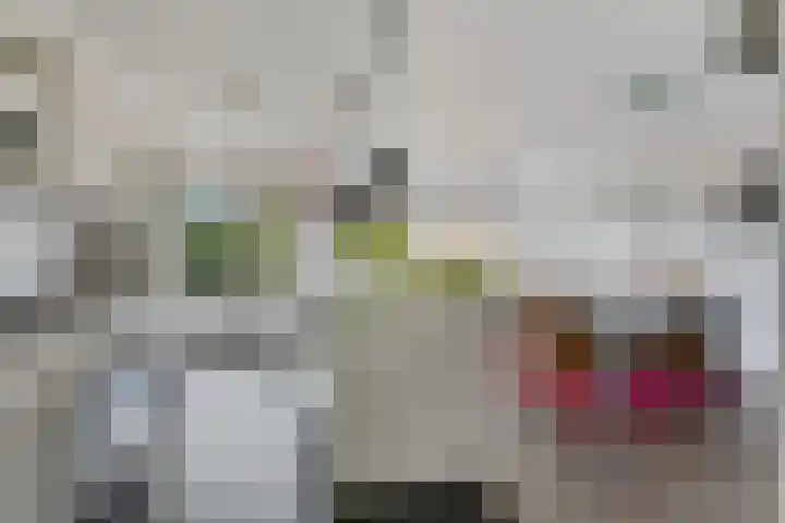 Nachtwachtlaan 361 Amsterdam thumbnail 11