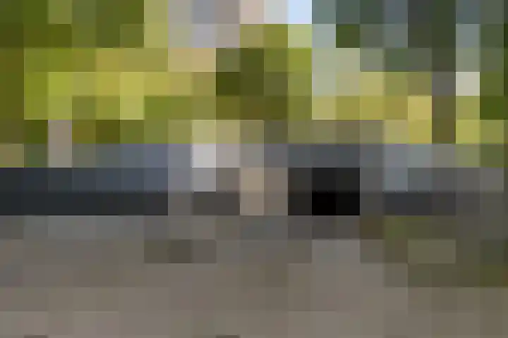 Nachtwachtlaan 361 Amsterdam thumbnail 24