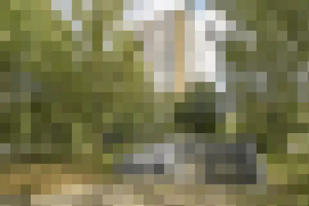 Nachtwachtlaan 366 Amsterdam thumbnail 18
