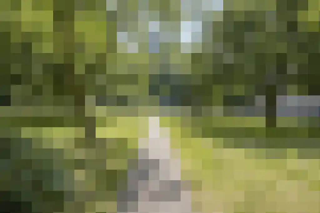 Nachtwachtlaan 366 Amsterdam thumbnail 20