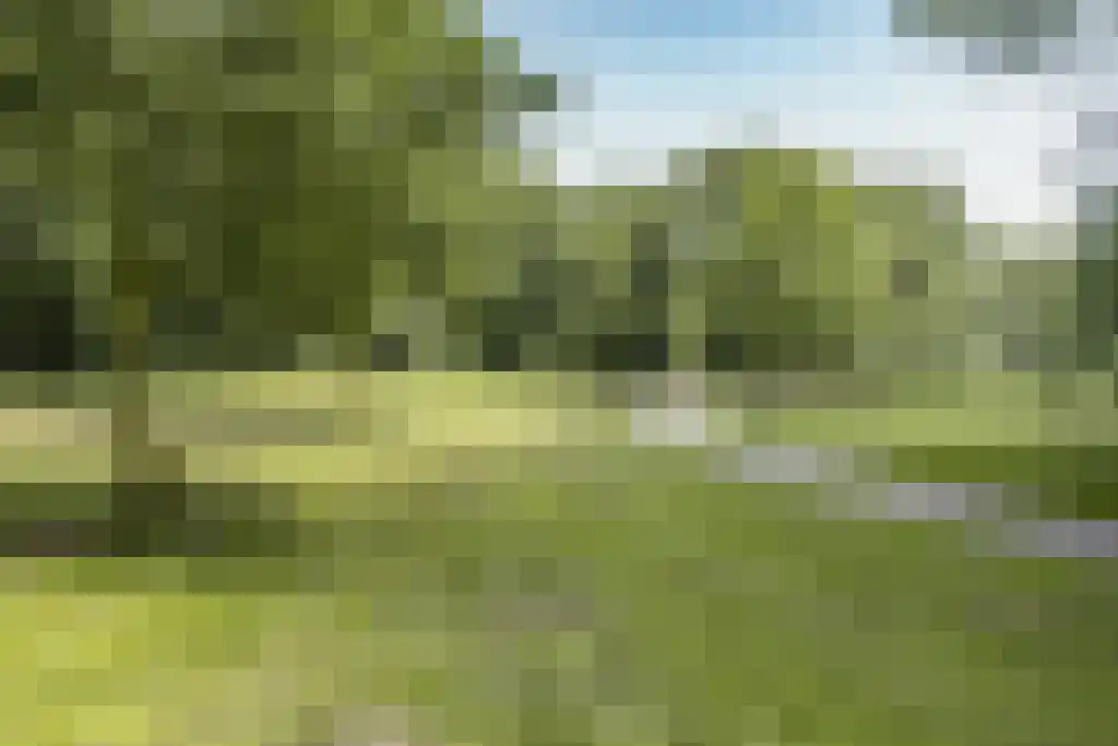 Nachtwachtlaan 366 Amsterdam thumbnail 21