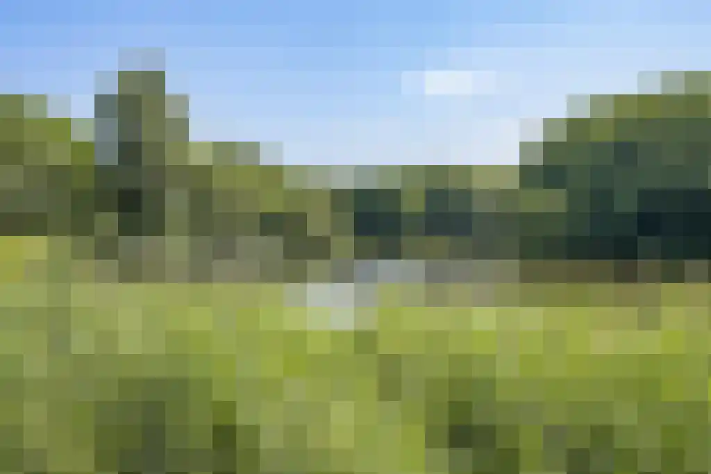 Nachtwachtlaan 366 Amsterdam thumbnail 22