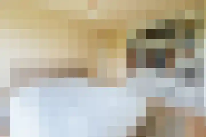 Nachtwachtlaan 379 Amsterdam thumbnail 20