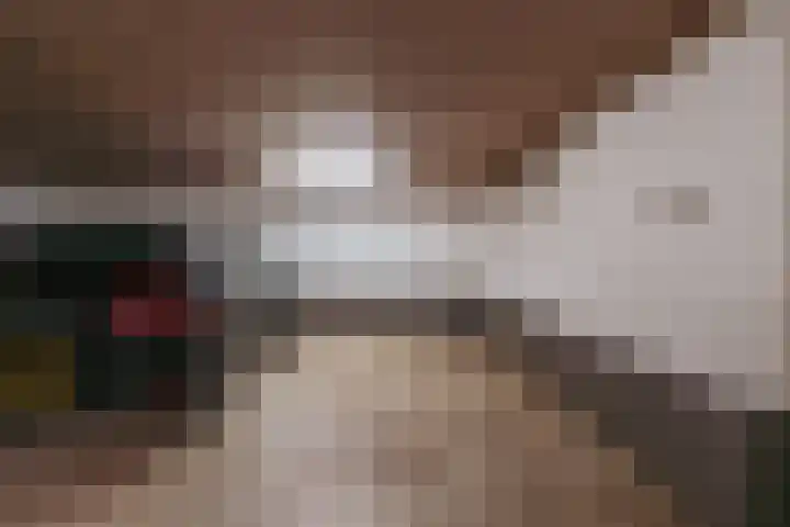 Nachtwachtlaan 379 Amsterdam thumbnail 29