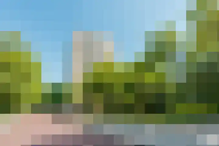 Nachtwachtlaan 379 Amsterdam thumbnail 5