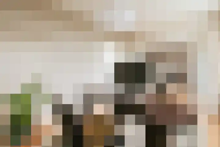 Nachtwachtlaan 385 Amsterdam thumbnail 16
