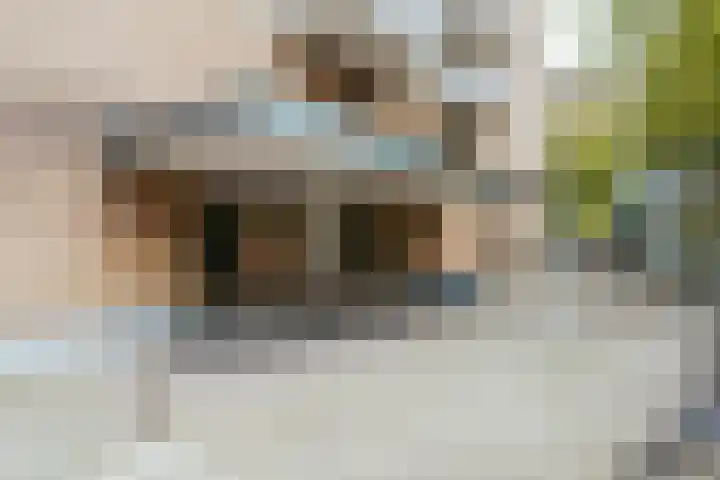 Nachtwachtlaan 385 Amsterdam thumbnail 33