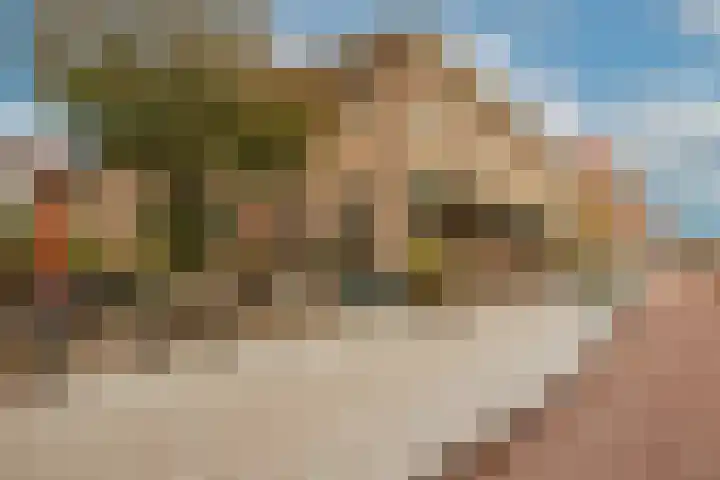 Nachtwachtlaan 385 Amsterdam thumbnail 39