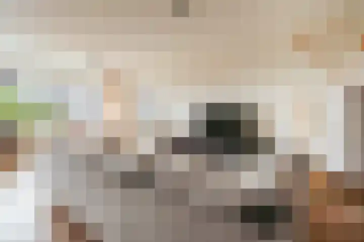 Nachtwachtlaan 385 Amsterdam thumbnail 4
